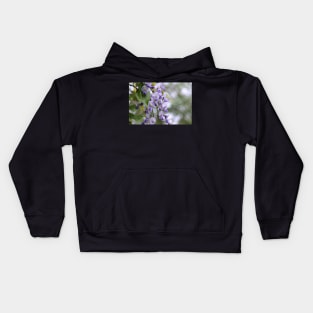 Wisteria and Bokeh Kids Hoodie